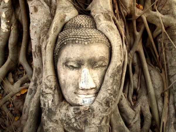 bouddha et vegetation; Séjour Cambodge, Agence de Voyage Roadtrip Evasion