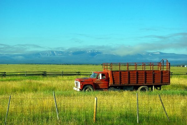 Séjour dans le Montana, Agence de Voyage sur-mesure Road TRip Evasion
